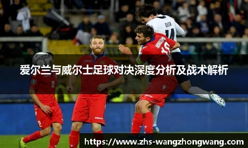 王中王资料大全